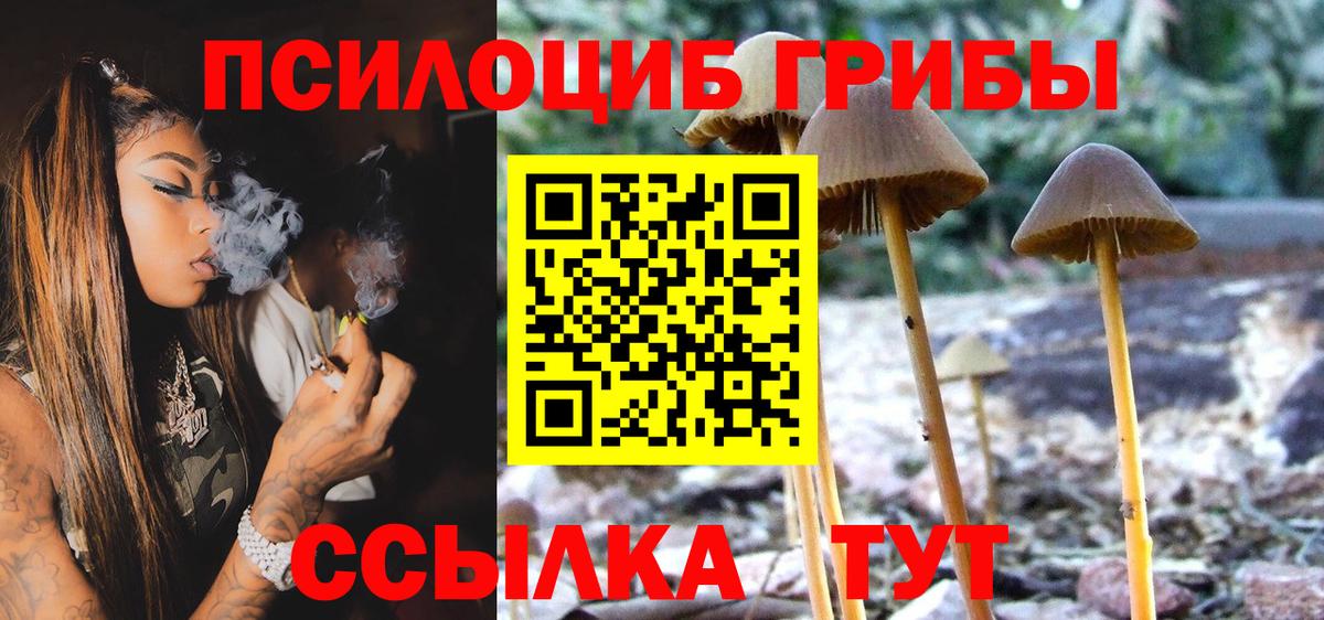 Псилоцибиновые грибы мицелий  закладки  Галлюциногенные грибы прущие грибы  Верхняя Салда  Вход с VPN 